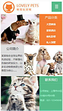 宠物行业手机模板网站