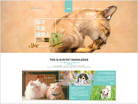 宠物行业彩色模板网站