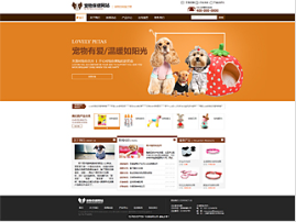 宠物行业彩色网站模板