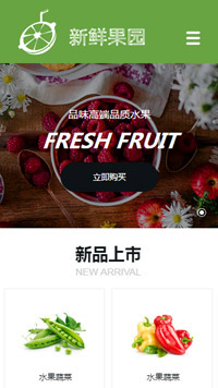 食品行业手机模板网站