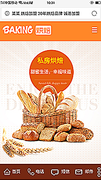 食品行业手机模板网站
