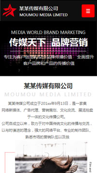  传媒、广电行业手机模板网站