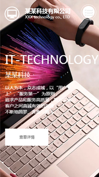  IT科技、软件行业手机模板网站