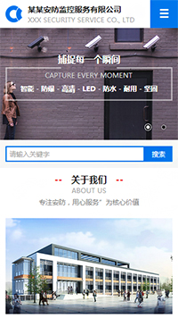  安防、监控器材行业手机模板网站