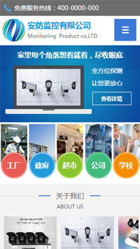  安防、监控器材行业手机模板网站